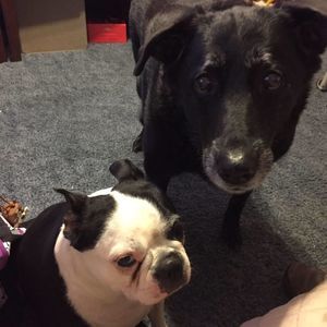 Meet your Posher, Kit